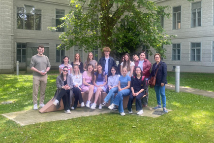 Medien (13)