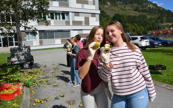 Unser Apfelbaumgarten