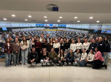 Brüssel hautnah erleben