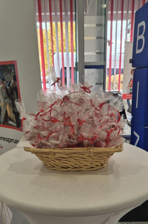 Medien (17) Medien (17)