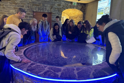 Image - 2026-03-30T161440.468 Image - 2026-03-30T161440.468