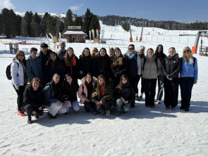 Image - 2026-03-30T161733.643 Image - 2026-03-30T161733.643