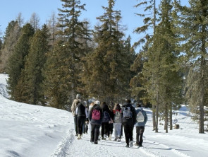 Image - 2026-03-30T161741.716 Image - 2026-03-30T161741.716