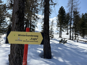 Image - 2026-03-30T161748.938 Image - 2026-03-30T161748.938