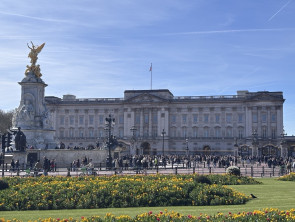 Image - 2026-04-26T115904.758