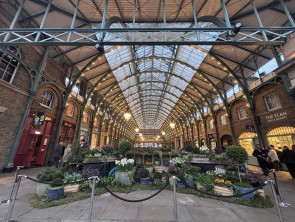 Image - 2026-04-26T120004.229