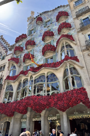 Image - 2026-04-28T072901.420